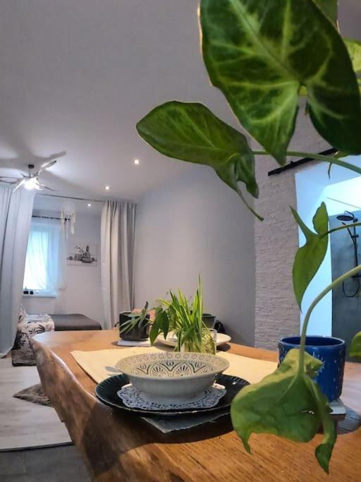 Urocze Studio W Sercu Cieplic Warmbrunn Экстерьер фото